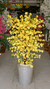 Pessegueiro Flower Amarelo 20 Galhos- 1,40cm - loja online