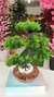 Arranjo Bonsai Toque Real - 40cm - Via Paris Decor