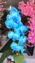 Orquidea Blue Silicone no Aquario de Vidro - 50cm - Via Paris Decor