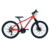 Bicicleta MTB Cool Jung R24 en internet