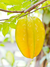 Carambola