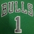 Chicago Bulls (Saint Patrick’s Day) HWC Retrô 08/09 - Masculina - Verde