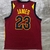 Cleveland Cavaliers Icon Edition 19/20 - Masculina - Vinho - loja online