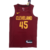 Cleveland Cavaliers Icon Edition 22/23 - Masculina - Grená