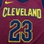 Cleveland Cavaliers Icon Edition 19/20 - Masculina - Vinho na internet