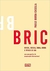 Bric: Brasil, Rússia, Índia, China e África do Sul - Uma Perspectiva de Cooperação Internacional - Autor: Paulo Borba Casella (2011) [seminovo]