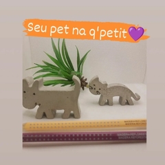 Pets em concreto!!