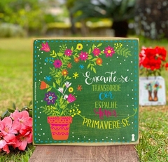 Box Primavere-se 25x25 - comprar online