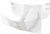 Fralda Adulto Geriátrica - Abena Slip Premium XL4 - 12 unidades - Fraldas Adulto