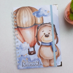 Combo Caderneta de Saúde + Livro do Bebê - comprar online