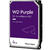 Disco duro especial para videovigilancia Western Digital Purple - tienda en línea