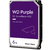 Disco duro especial para videovigilancia Western Digital Purple