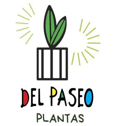 DEL PASEO PLANTAS