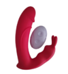 Vibrador Rabbit Penetrável com Controle Remoto