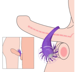 Anel Peniano com Vibração e Rotação de Língua para Clitóris na internet
