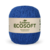 Imagem do Ecosoft - EuroRoma