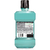 Enxaguatório Bucal Cool Mint, Listerine, L 500Ml - comprar online