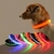 Collar LED para mascotas - ShopinistaMeta