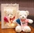 Set de oso de peluche, luces y flor de regalo - ShopinistaMeta