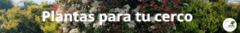 Banner de la categoría Plantas de cerco