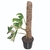 Tutor Base Esfagno Para Plantas 60cm - Urban Jungle na internet