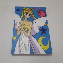 Cuadro Decorativo NEOREINA SERENA SAILOR MOON SAILOR SCOUT