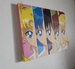 Cuadro Decorativo SAILOR MOON SAILOR SCOUTS 