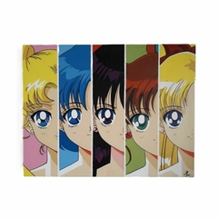 Cuadro Decorativo SAILOR INNERS SENSHIS SAILOR MOON