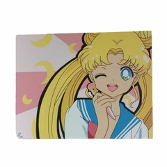 Cuadro Decorativo SERENA TSUKINO SAILOR MOON