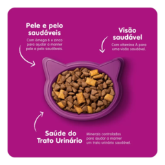 WHISKAS DRY GATOS ADULTOS CARNE na internet