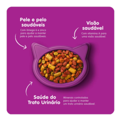 WHISKAS DRY GATOS ADULTOS SABOR PEIXE - loja online