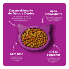 WHISKAS DRY GATOS FILHOTES SABOR CARNE E LEITE - loja online