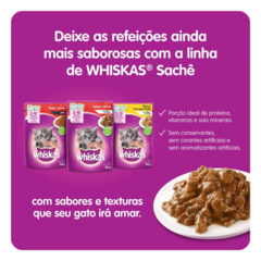 Imagem do WHISKAS DRY GATOS FILHOTES SABOR CARNE E LEITE