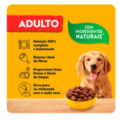 PEDIGREE SACHÊ ADULTO RAÇAS MÉDIAS 100G na internet