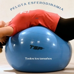 Pelota Esferodinamia 55 cm