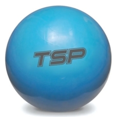 Pelota Esferodinamia 55 cm - comprar online