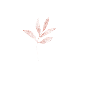 Laizar Cosméticos | Sua Beleza Natural