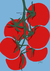 Lámina Tomates - archivo descargable en internet