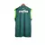 Camisa Palmeiras Home Regata 23/24 - Torcedor Puma Masculina - Verde - PB Store