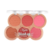 Paleta Blush UP Mylife Cor 02