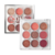 Paleta de Sombras Iconic Status SP Colors SP305