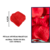 Surpresa Romântica 100 Pétalas Rosas + 2 Balões Coração + 4 Velas na internet