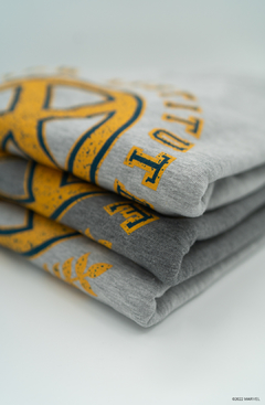 Imagen de Buzo Crewneck First Class