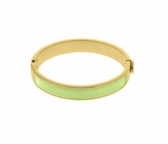 Bracelete Esmaltado Verde Lima Ouro