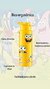 Kit Meia + Squeese Bob esponja - comprar online