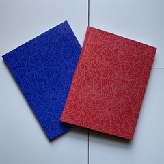 2 Cuadernos Araña Tapa Dura 96 hojas rayadas - Editorial Ruy díaz