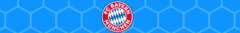 Banner da categoria Bayer Munich