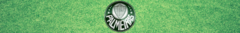 Banner da categoria Palmeiras