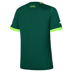 Camisa Palmeiras I 23/24 s/nº Torcedor Puma Feminina - Verde escuro - comprar online