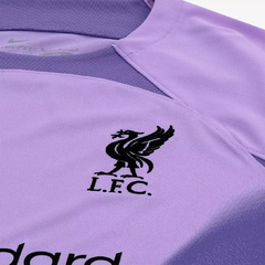 Camisa de Goleiro Nike Liverpool 22/23 Torc Pro Masculina - Roxo na internet